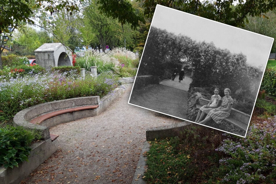 Köln: Neuer Look für Kölner Volkspark: Hier lässt sich wieder richtig entspannen