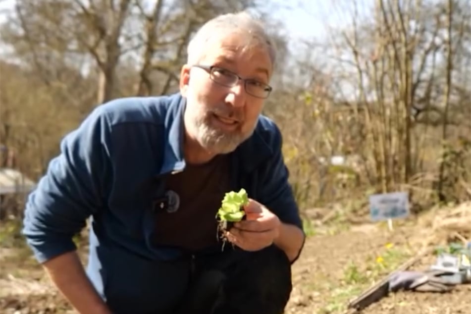 Beim Düngen setzt Heiß unter anderem auf Gründünger.