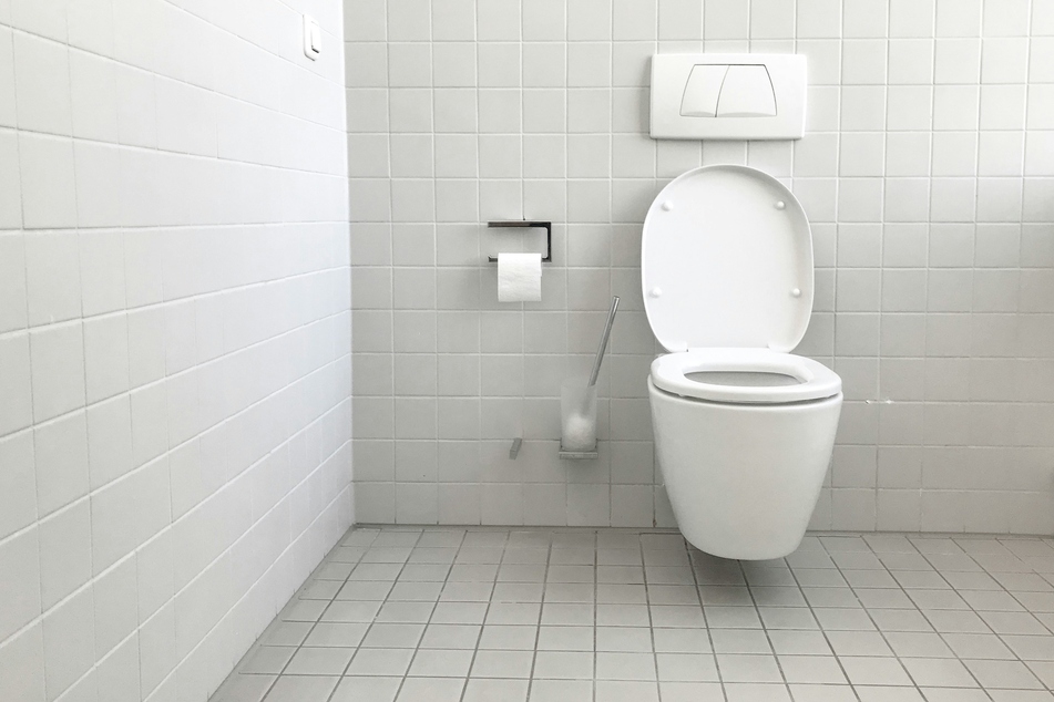 Los Angeles locals make a stink over the city's $1 million restroom project