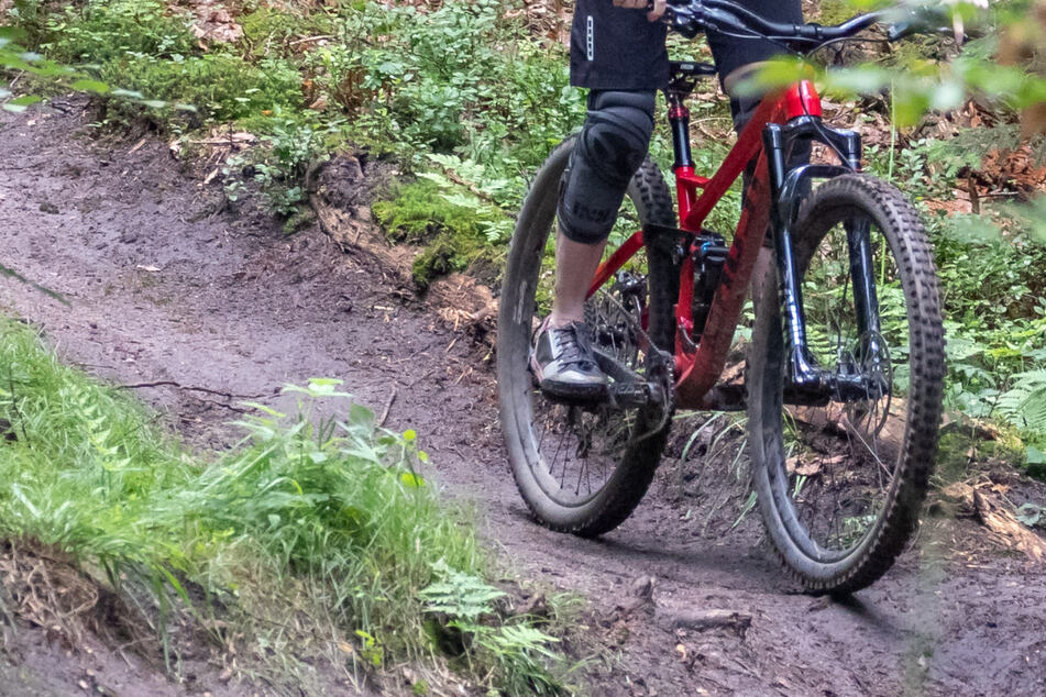 Bei einem Sturz ohne Helm ist ein Mountainbiker im Salzburger Umland gestorben. (Symbolbild)