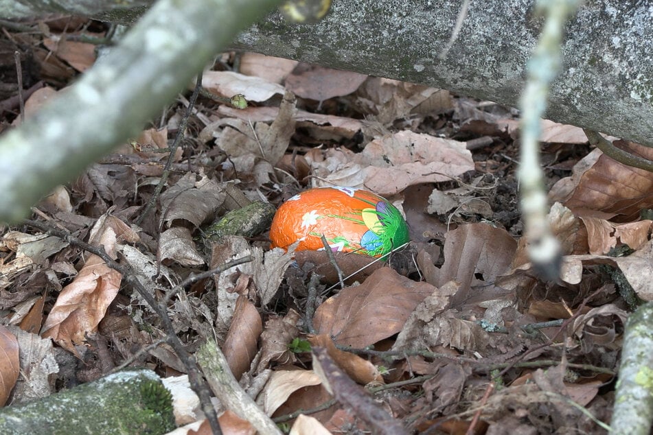 Ein buntes Ei liegt als Überbleibsel einer Tragödie unter dem umgestürzten Baum in einem Waldstück bei Flensburg.
