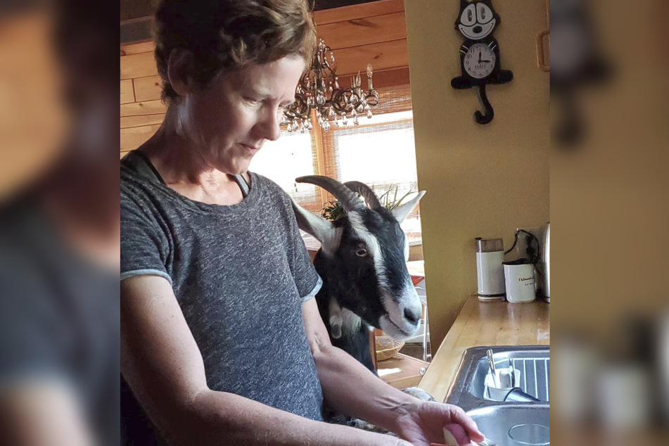 Auch in der Küche hat Gretchen Eberle ihre Tiere um sich. Hier eine Ziege beim Backen.