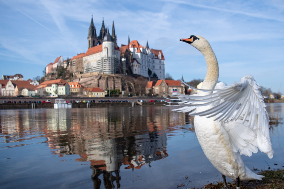 West-Dresdner können ohne Ärger einen Ausflug nach Meißen unternehmen.