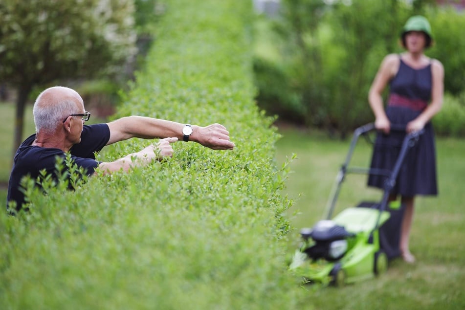 Nicht selten landen Nachbarschaftsstreitigkeiten vor Gericht. Juristen sprechen von Zivilsachen, zu denen auch Erbschaftsstreitigkeiten gehören. (Symbolfoto)