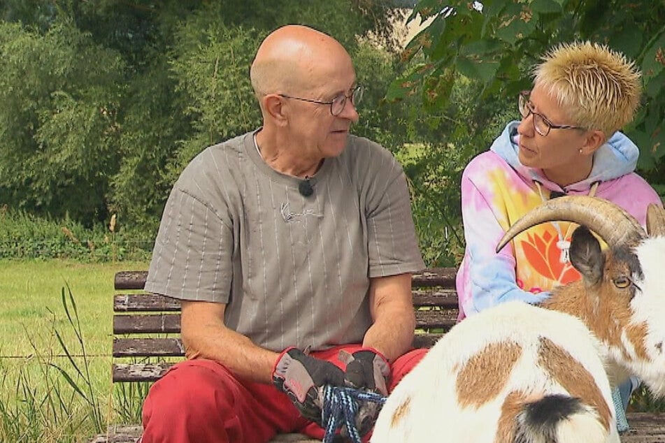 Bauer sucht Frau: Funke springt nicht über: Bei "Bauer sucht Frau" droht der nächste Abbruch der Hofwoche