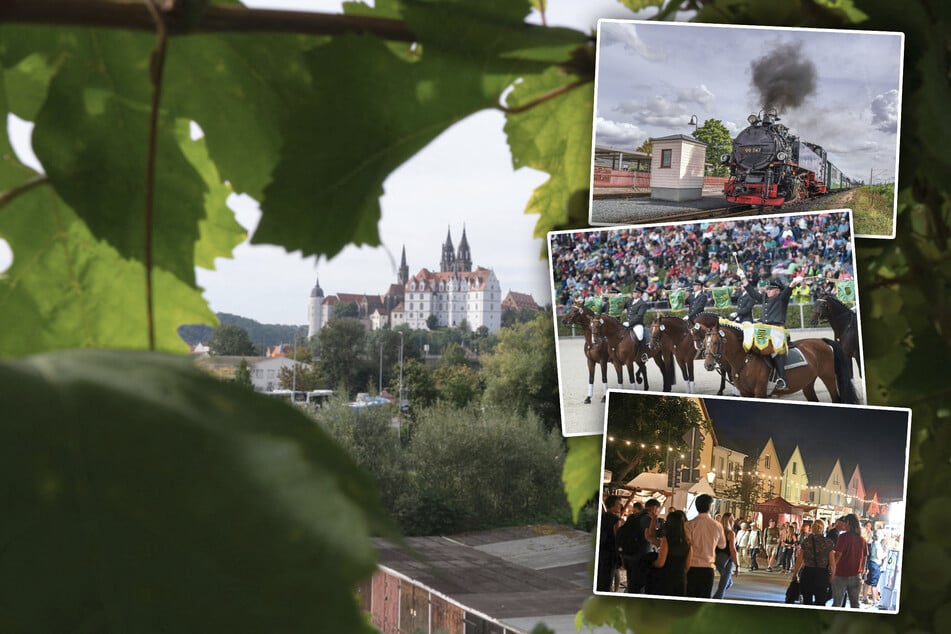 Dresden: Dieser Samstag hat es richtig in sich: Zehn Tipps für Dresden und Umgebung