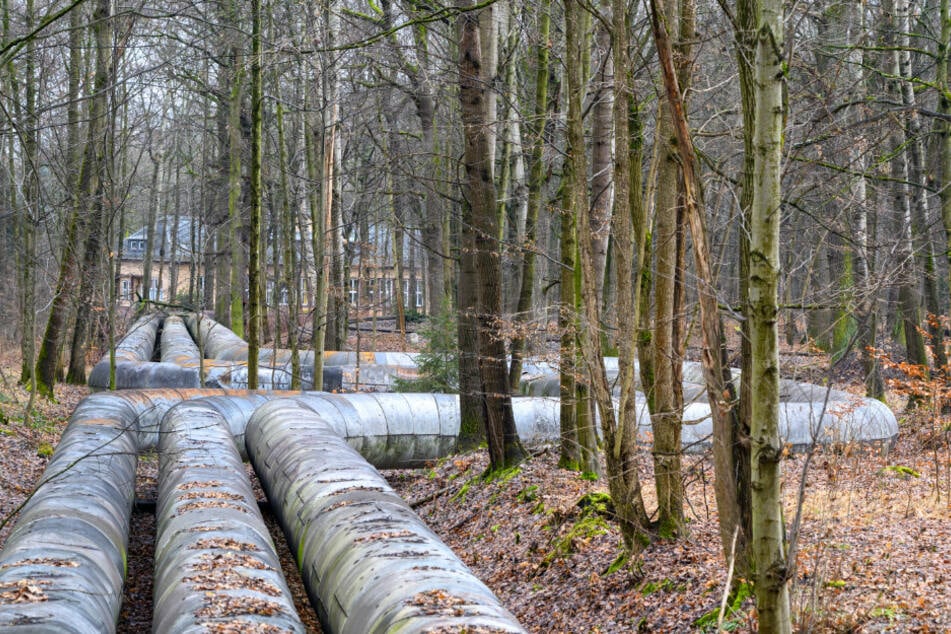 Im Küchwald wird die 1,7 Kilometer lange Fernwärmetrasse derzeit abgerissen.