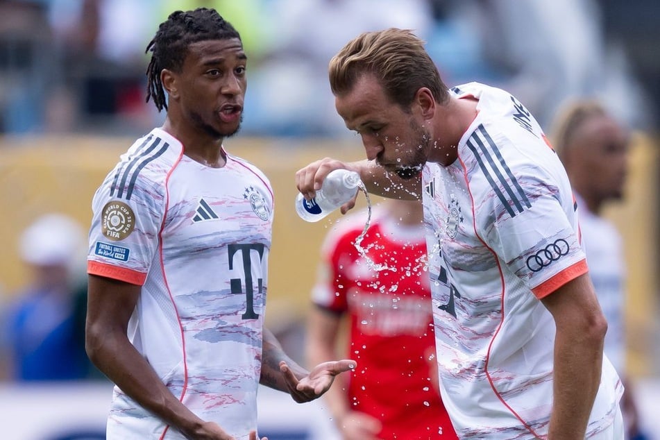 Die Superstars Michael Olise (24, l.) und Harry Kane (33) sollen dem FC Bayern erhalten bleiben.