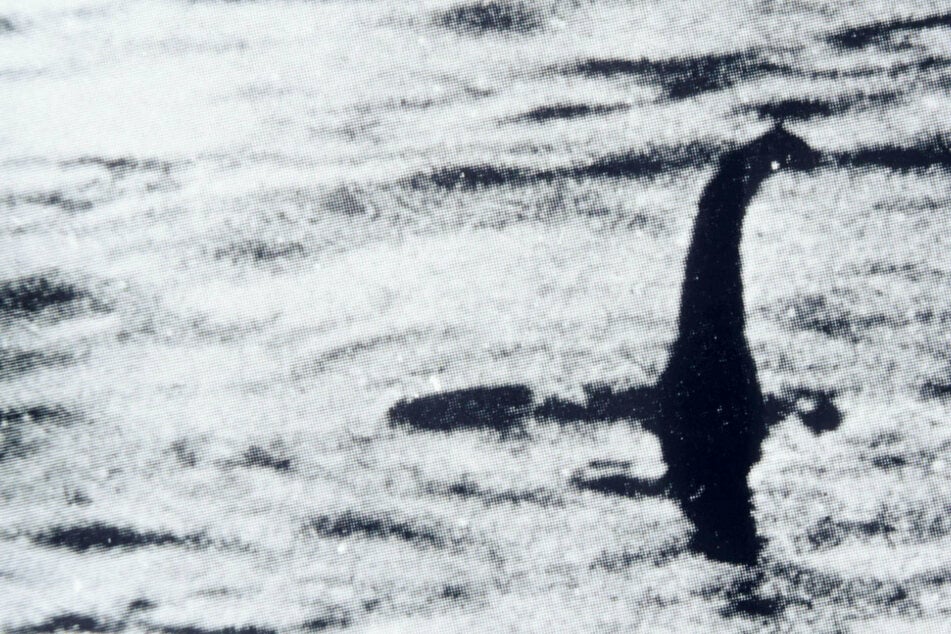 Ungeheuer von Loch Ness: Ist Nessie nur ein riesiger Penis?