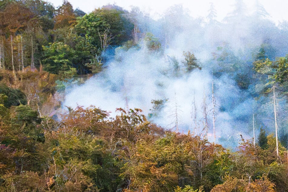 Waldbrand in Hessen stellt Feuerwehr vor Probleme: Einsatzkräfte in Gefahr