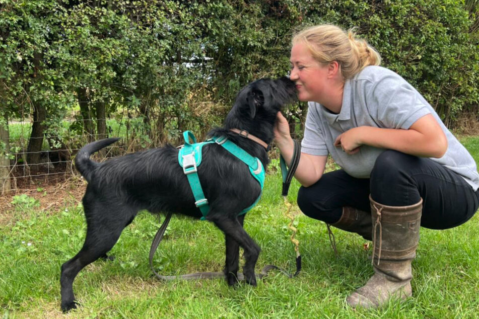 At Lucie Holmes' rescue, dog Marcus has found new canine friends.