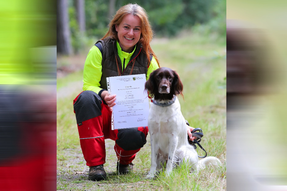 Hundeführerin Ilka Burkhardt (43) ist stolz. Ihre Emma (5), ein Kleiner Münsterländer, hat die Prüfung zum Kadaver-Suchhund bestanden.
