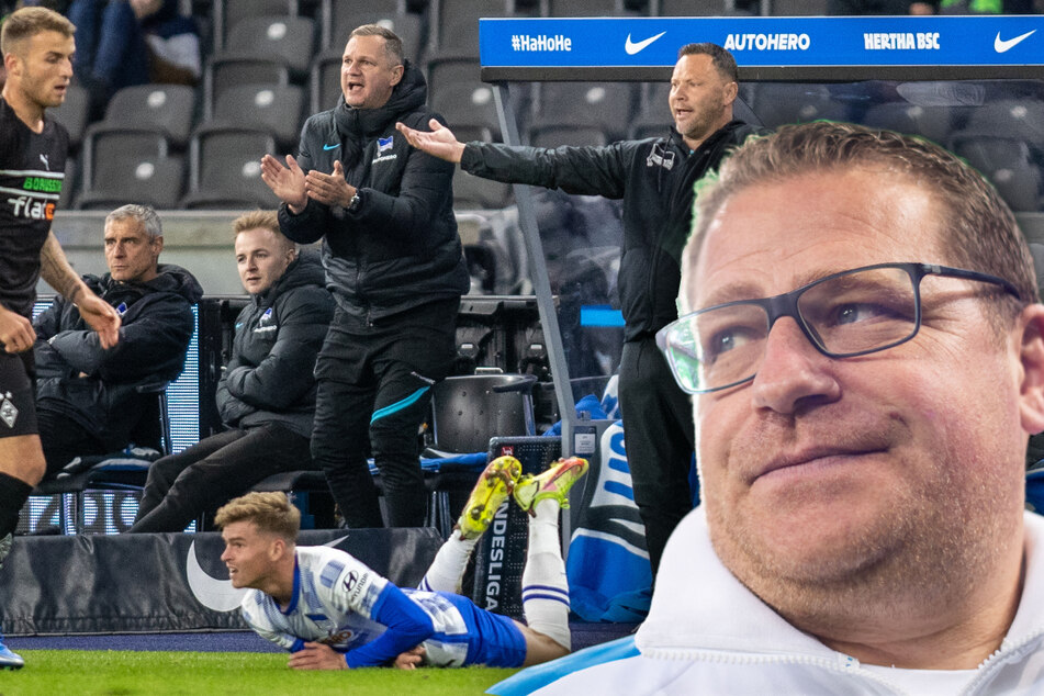 Hitziges und umkämpftes Spiel im Berliner Olympiastadion. Glabdach-Manager Max Eberl (48/r.) legte sich mit der Hertha-Bank an. (Bildmontage)