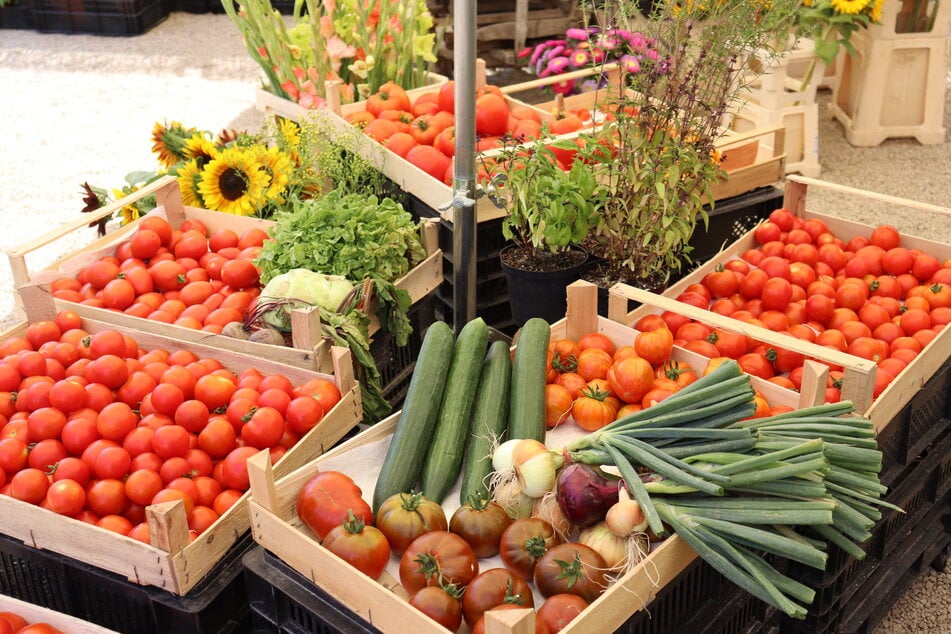 Sachsen rät dazu, mehr regionale Produkte zu kaufen