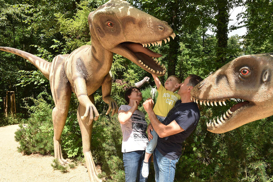 Der Saurierpark in Kleinwelka ist endlich wieder auf.