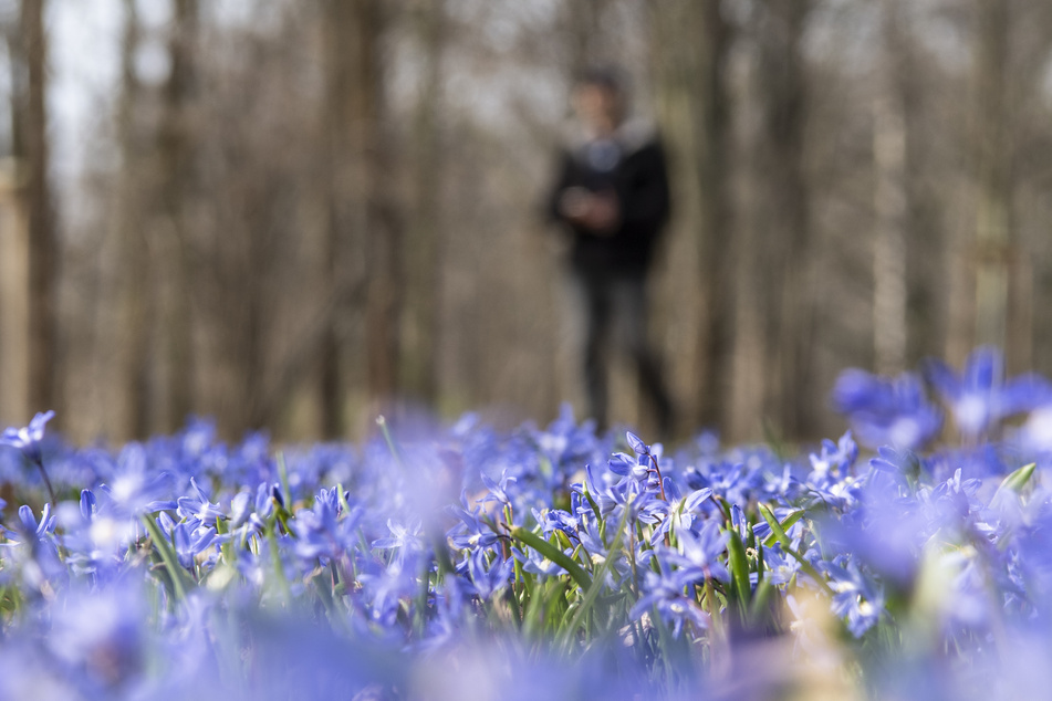 Der Frühling hält Einzug in der Hauptstadt.