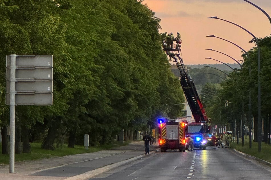 Vor Ort stellten die Einsatzkräfte fest, dass jemand seine Mahlzeit im Ofen hatte verkohlen lassen.