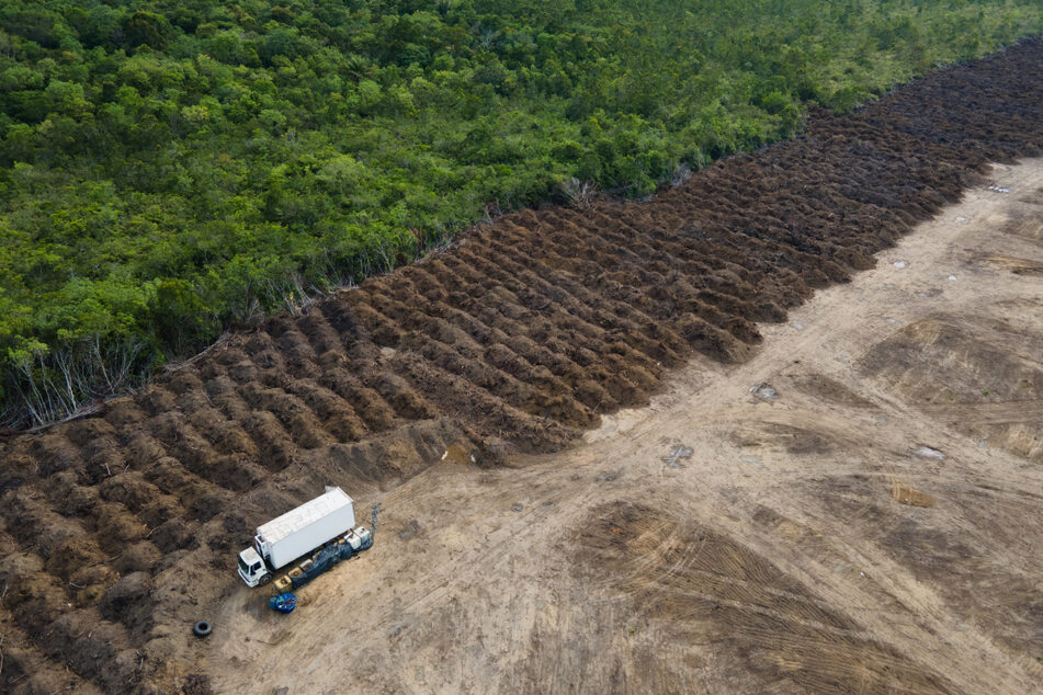 Ein Lastwagen steht in einem abgeholzten Gebiet des Amazonas nahe Porto Velho. Rodungen verschlimmern den Zustand des Regenwaldes enorm.