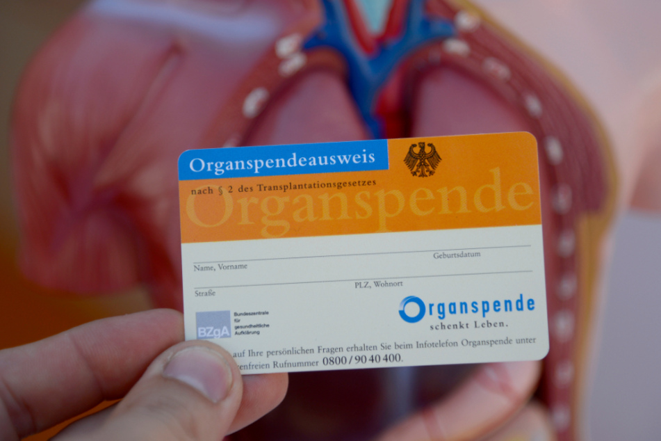 Derzeit warten 1060 Menschen aus Baden-Württemberg auf eine neues Organ. Die meisten von ihnen (807) warten auf eine neue Niere.
