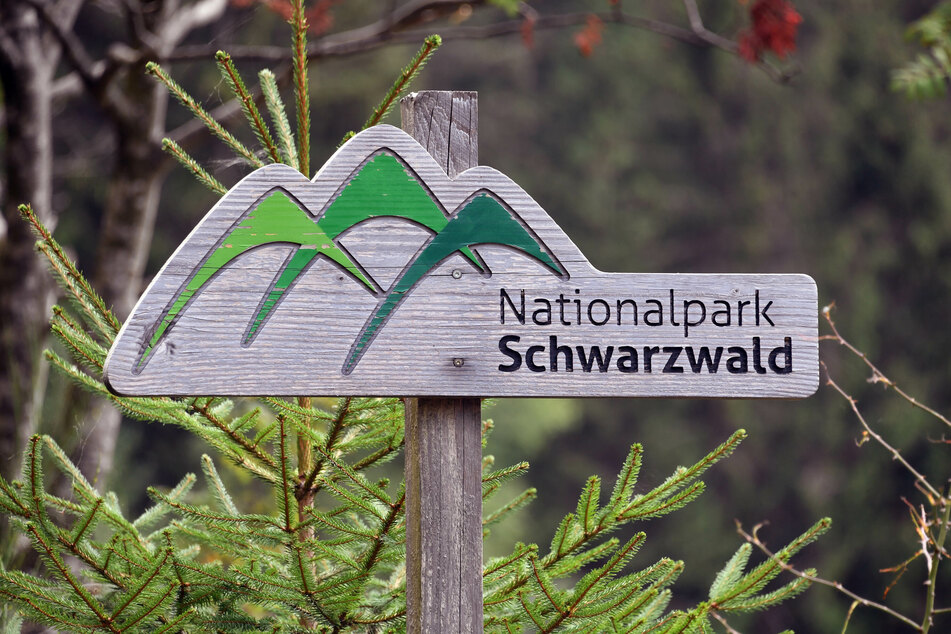 Ein Holzschild mit der Aufschrift "Nationalpark Schwarzwald", aufgenommen bei Seebach am Ruhestein.