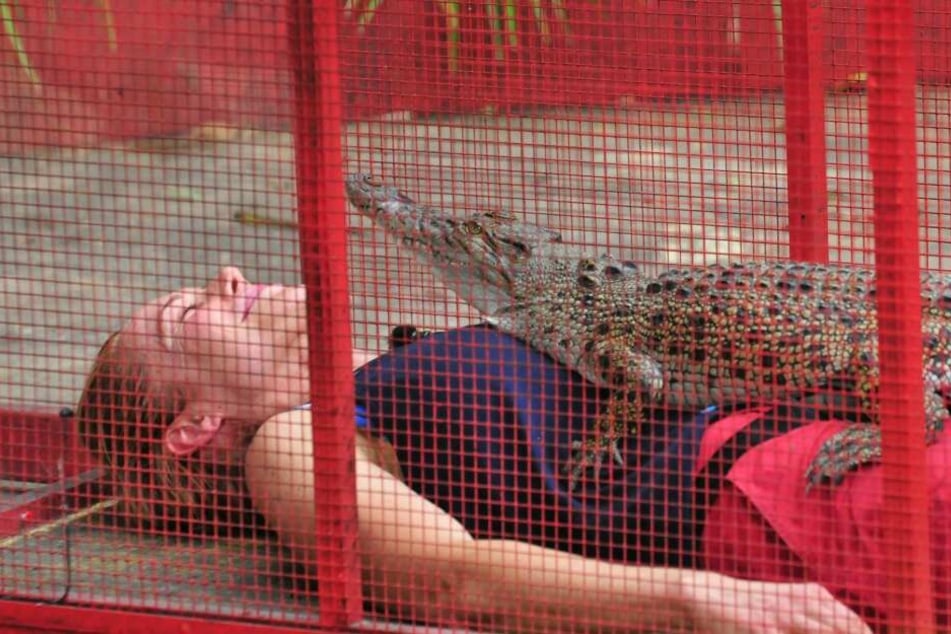 Doreen wurde ein Krokodil auf den Bauch gepackt.