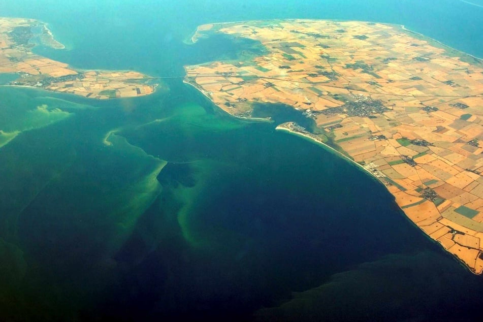 Algenteppiche schwimmen vor der Insel Fehmarn (rechts) an der schleswig-holsteinischen Ostseeküste.