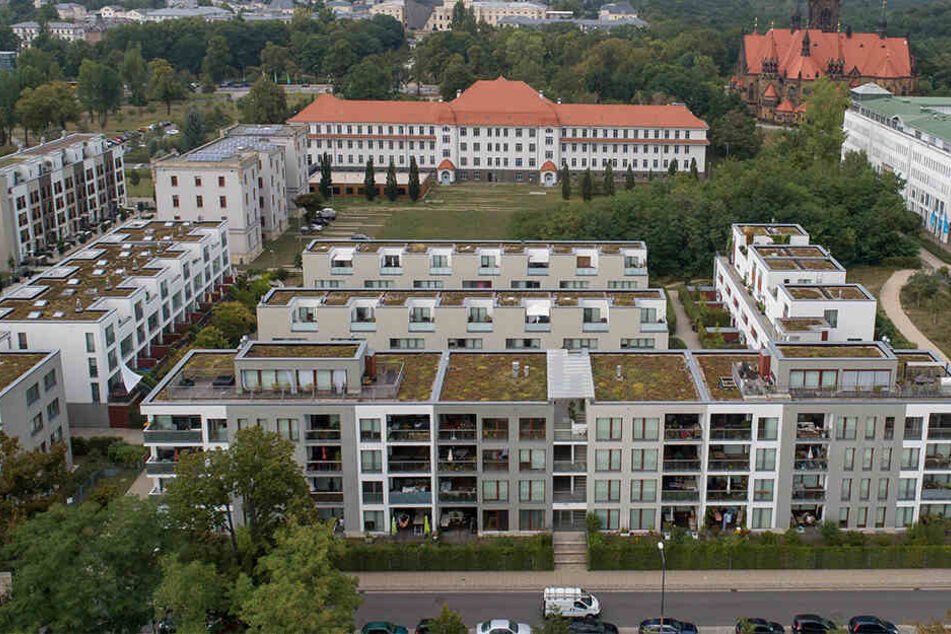 An der Tannenstraße haben viele Bauherren die Vorteile eines Gründachs erkannt. Das ist nicht überall in Dresden so.