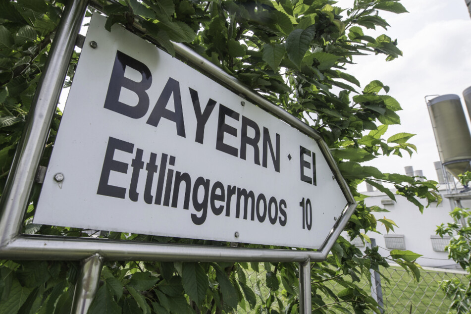 Ein Schild weißt den Weg zum damaligen Betriebsgelände von Bayern-Ei. (Archivbild)