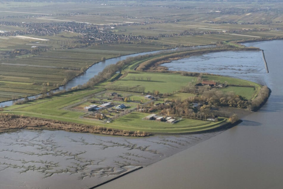 Shahriar J. (21) ist derzeit im Jugendgefängnis auf der Elbinsel Hahnöfersand in Untersuchungshaft.