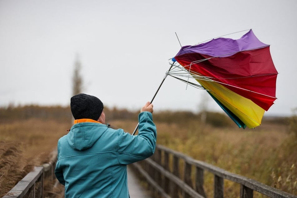Im Südwesten wird es windig und frisch.