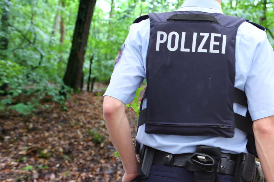 Die Vergewaltigung ereignete sich in dem Naturschutzgebiet Dönche in Kassel (Symbolbild).