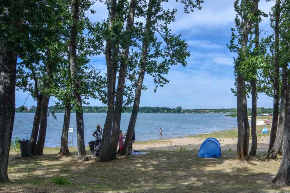 Der Barleber See in Magdeburg musste wegen Blaualgenbefalls geschlossen werden.
