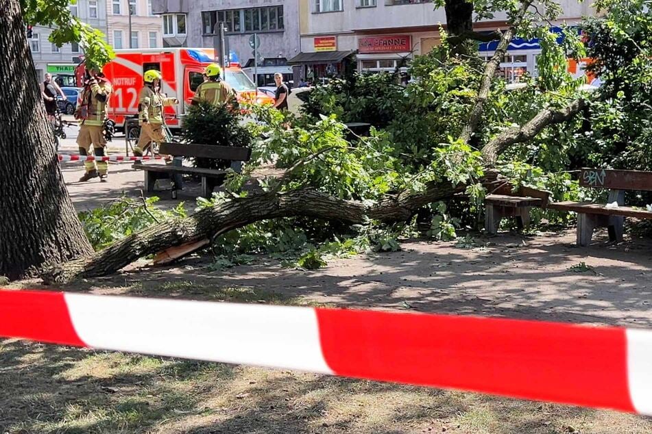 Das Unglück ereignete sich im Ottopark in Berlin-Moabit.