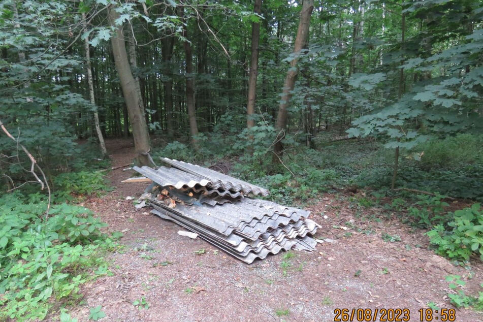 Insgesamt 30 Asbestplatten sowie weiterer Schutt wurden einfach im Wald abgelegt.