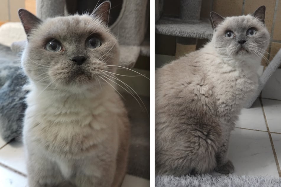 Die charakterstarke Seniorin hat klare Vorstellungen - und einen zauberhaften Blick.