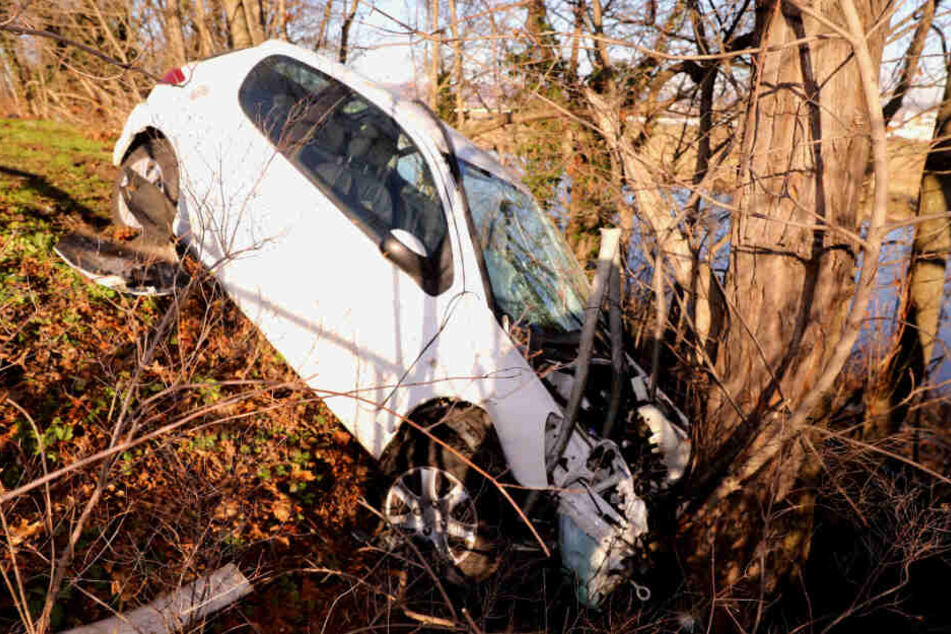 An einem Baum kam der Peugeot zum Stehen.