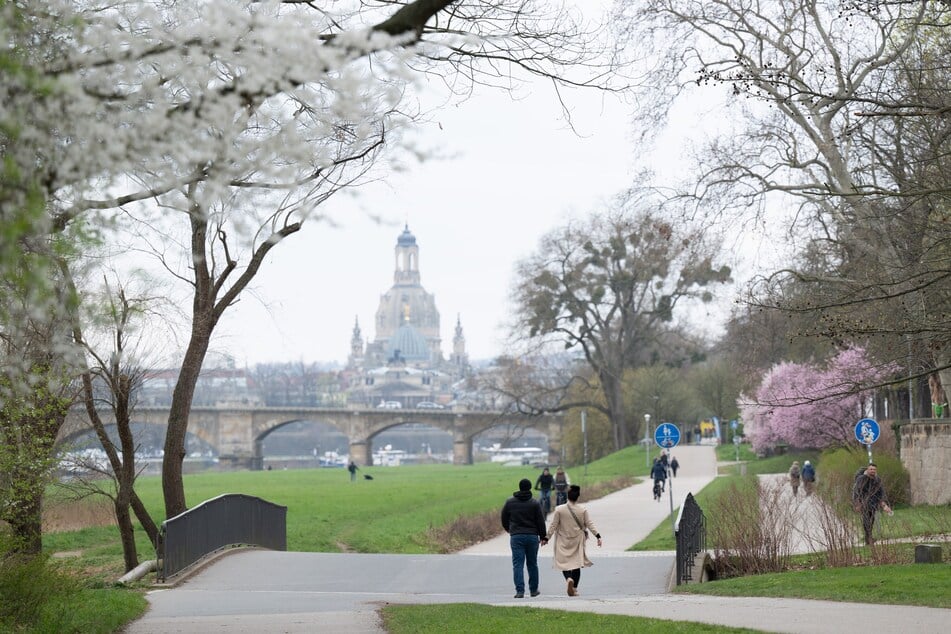 Rückseitig eines schwachen Frontensystems wird laut den Meteorologen vom Deutschen Wetterdienst zu Beginn des Osterwochenendes wieder etwas kühlere Luft nach Sachsen geführt. (Archivfoto)