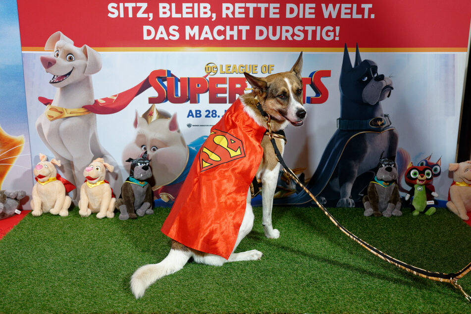 In dem Film "DC League of Super-Pets" geht es um Supermans Hund Krypto.