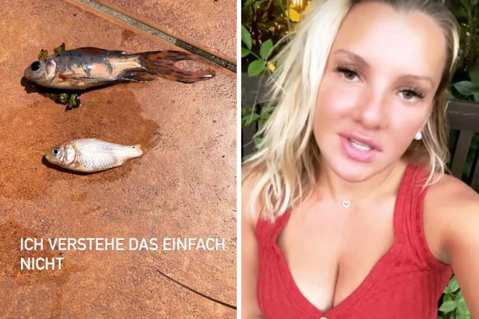 Evelyn Burdecki (32) sucht Hilfe auf Instagram: Im Gartenteich ihrer Eltern kommt es zu mysteriösem Fisch-Sterben.