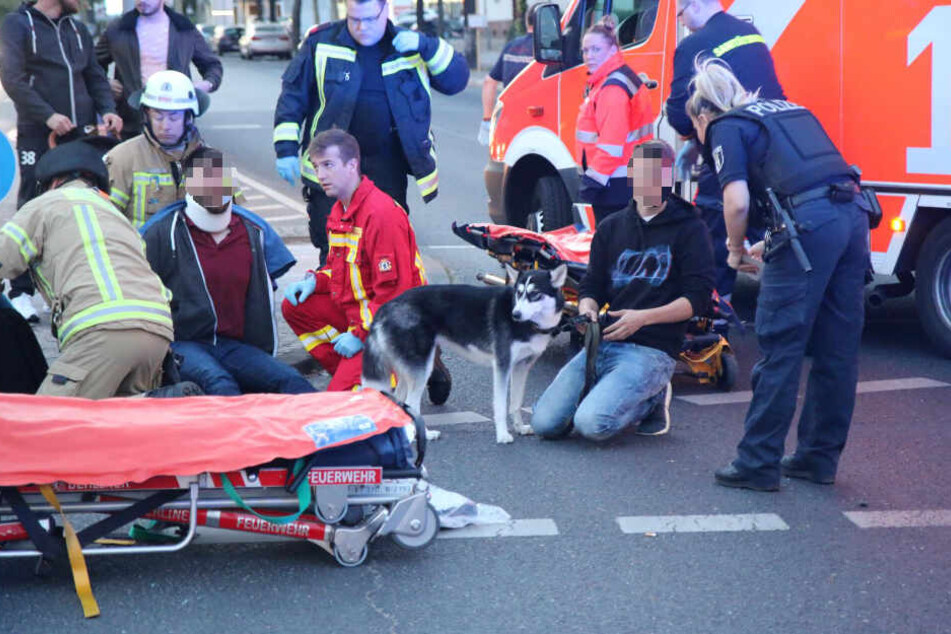 Der Hund musste später von einem Polizisten betreut werden.