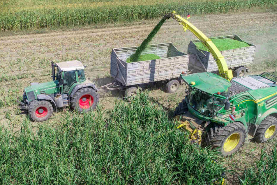 Eine Kugel traf einen jungen Mann im Traktor. (Symbolbild)