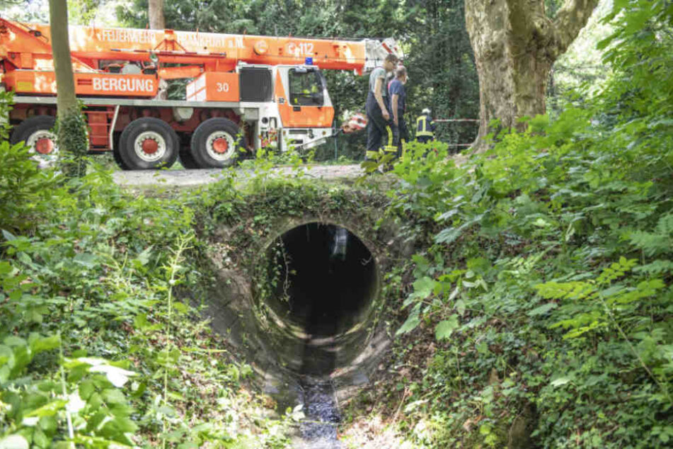 In diesem Schacht fanden die Einsatzkräfte das schwer verletzte Pferd.