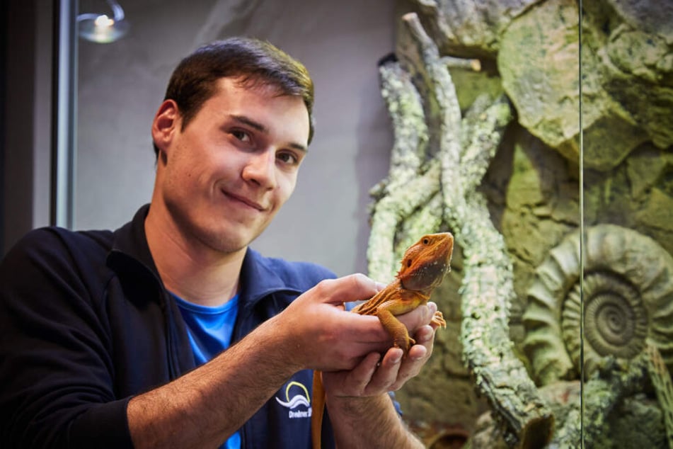 Bad-Mitarbeiter Henrik Heyde (21) mit Bartagame "Gabbo" (4).