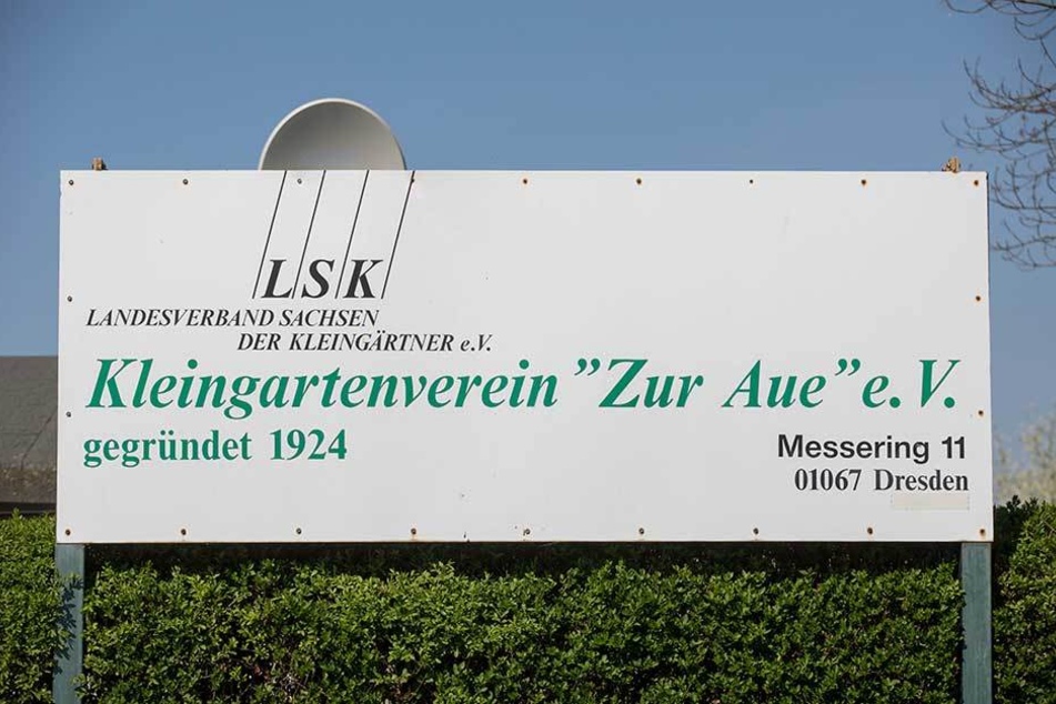 Die 230 Mitglieder des Kleingartenvereins "Zur Aue" können über die Besetzung des Vorstands entscheiden.