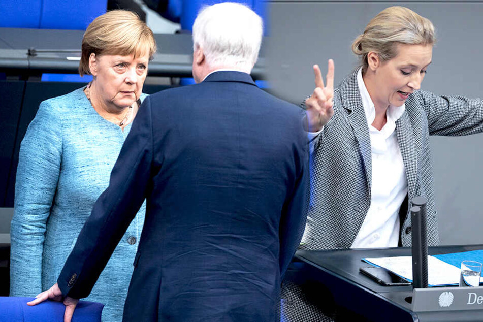Neue Umfrage! AfD liegt zum ersten Mal auf Platz 2
