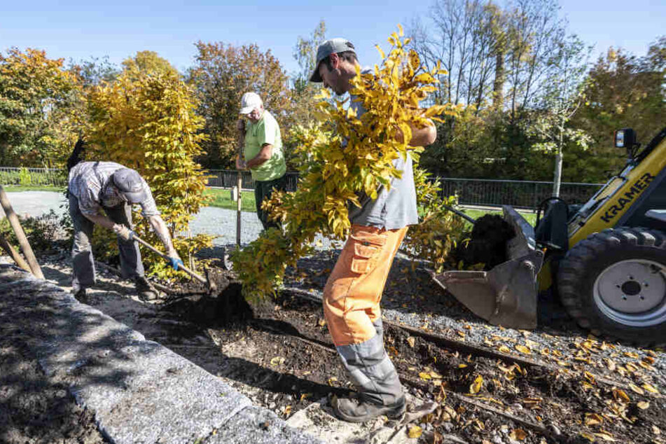 Beim Rückbau der Landesgartenschau werden auch Maschinen eingesetzt. Deshalb bleibt das Gelände noch gesperrt.