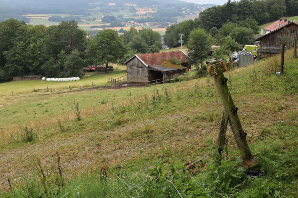 Bei Gleißenberg im Landkreis Cham in Bayern haben sich schreckliche Szenen abgespielt.