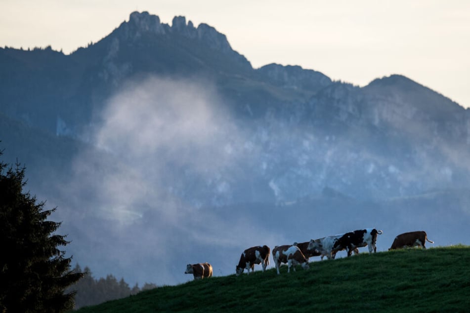 Bei einer Wanderung in den Chiemgauer Alpen verunglückte ein Mann tödlich. (Symbolbild)