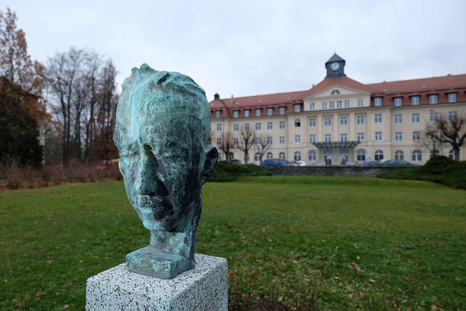 Eine Büste des Chirurgen Heinrich Braun (1862-1934). Nach ihm ist das Zwickauer Krankenhaus benannt.