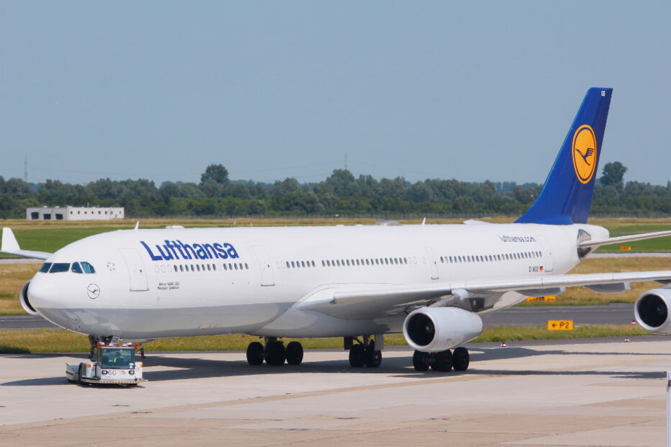 Der Vorfall ereignete sich an Bord eines A340 der Lufthansa (Symbolbild).